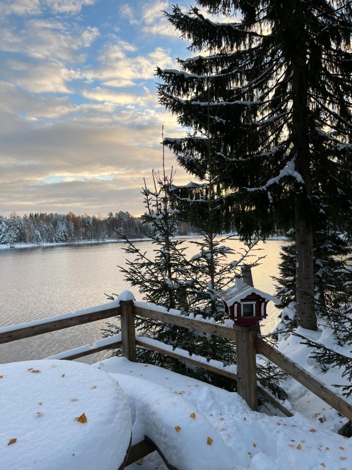 Nya Skogsgarden Hostel Marbacken Екстер'єр фото