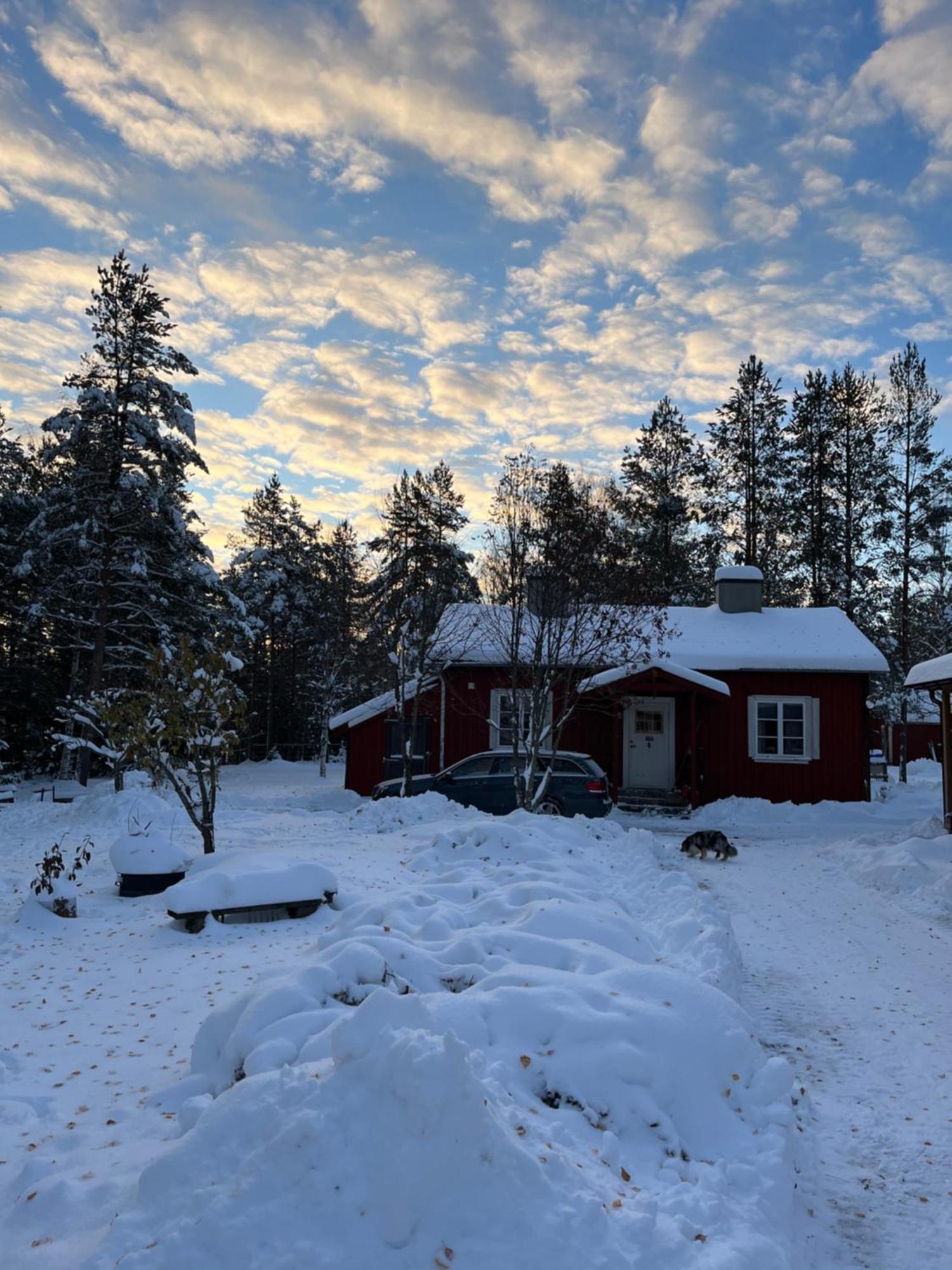 Nya Skogsgarden Hostel Marbacken Екстер'єр фото