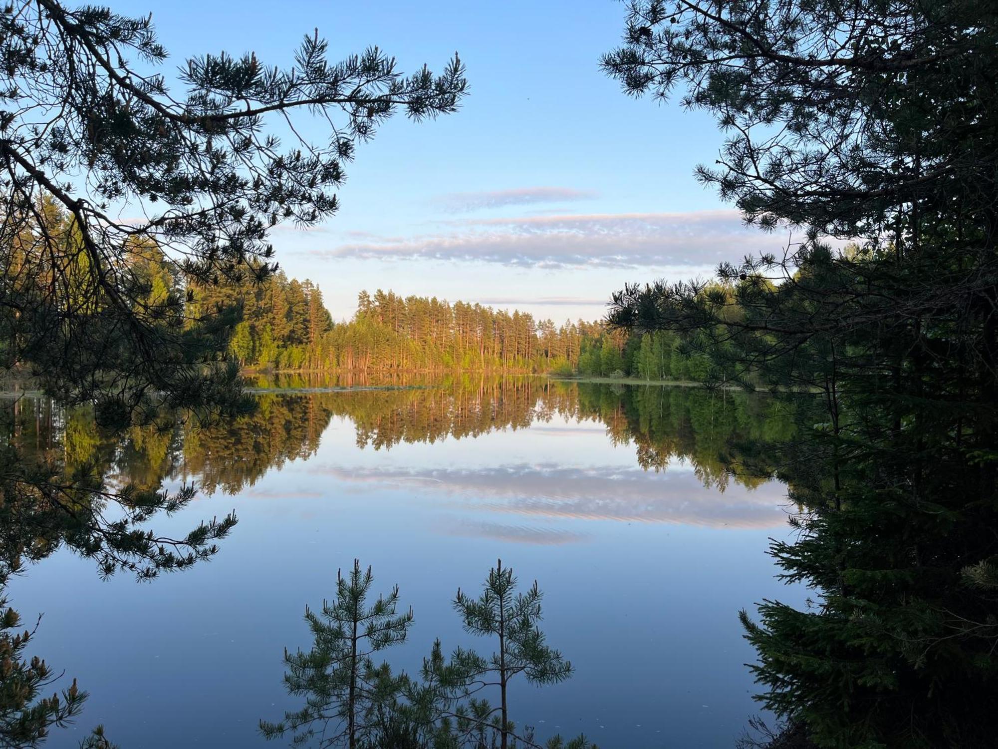 Nya Skogsgarden Hostel Marbacken Екстер'єр фото