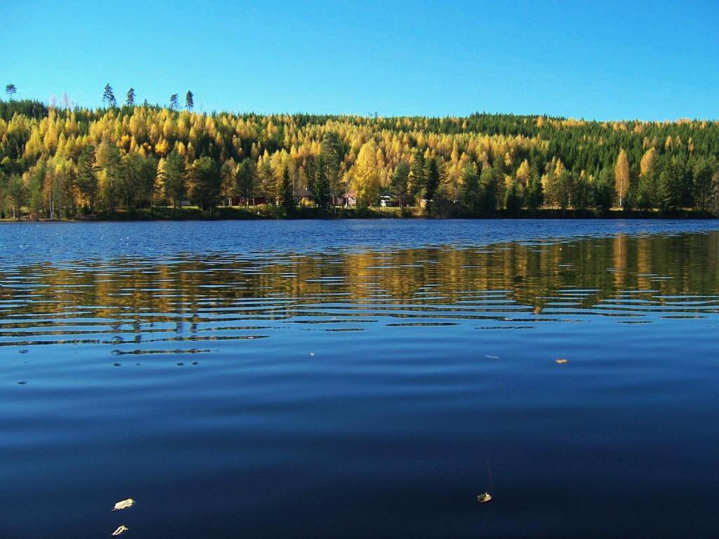 Nya Skogsgarden Hostel Marbacken Екстер'єр фото