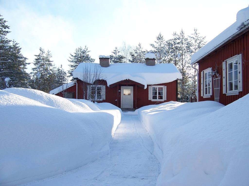 Nya Skogsgarden Hostel Marbacken Екстер'єр фото